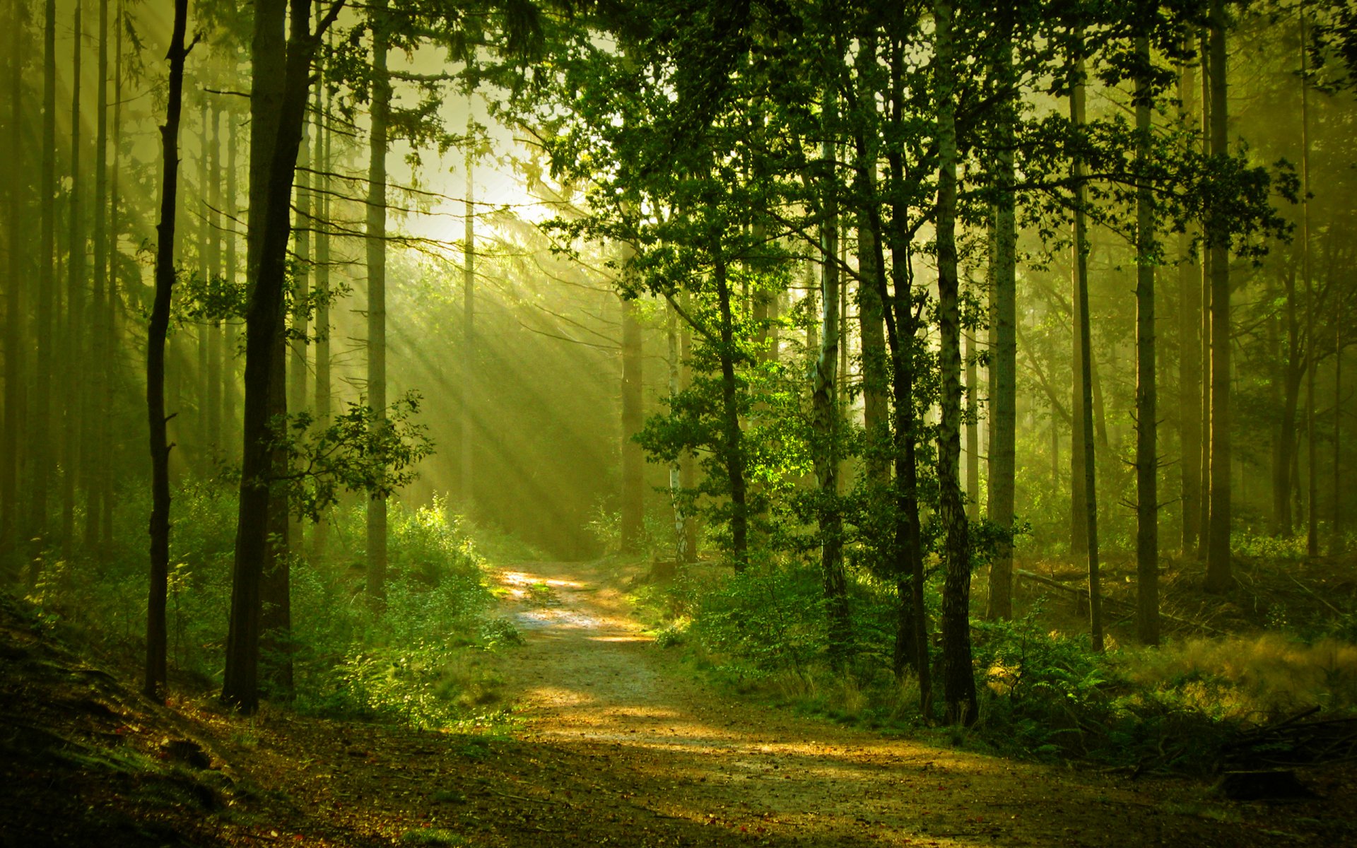 Balade initiatique dans la nature