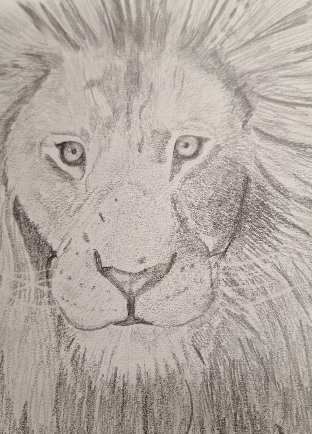 Apprendre les bases du dessin