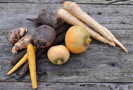Légumes d'hiver, retrouvés et revisités