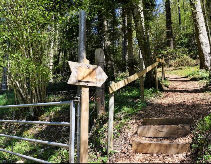 Sur les traces des Dinosaures