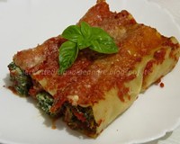 Cannelloni farcis et sauce tomate aux herbes et épices