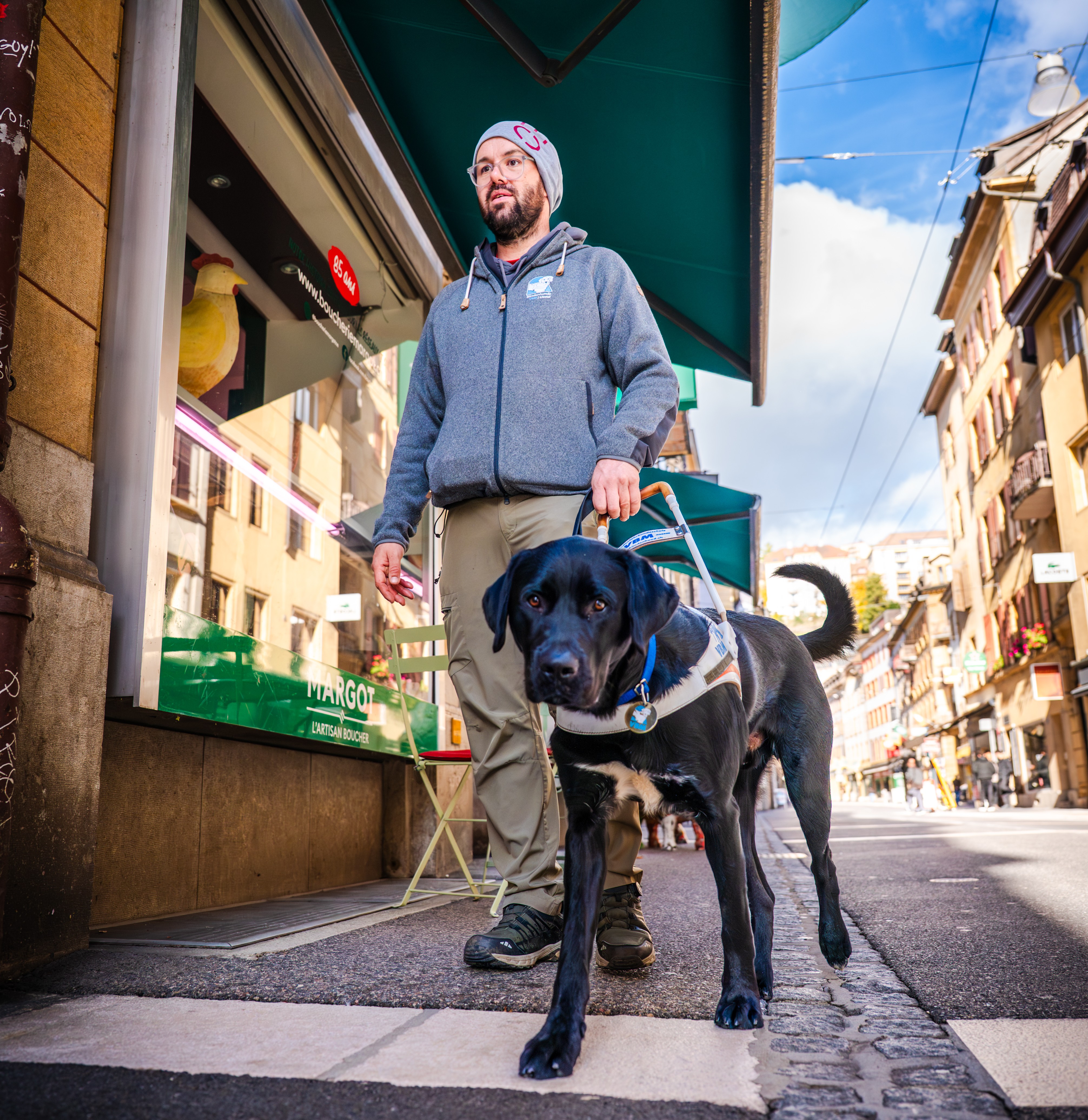 Dans les pas d'un chien guide