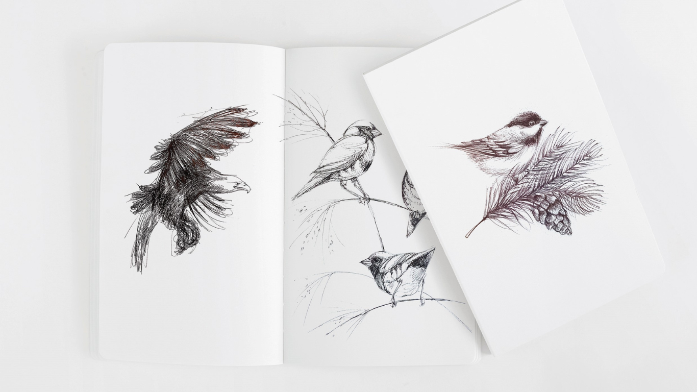 Dessin libre et esquisses