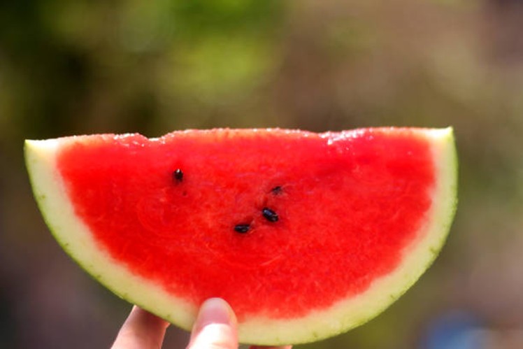 Sophrologie : Et si manger devenait un acte de conscience et de plaisir ?