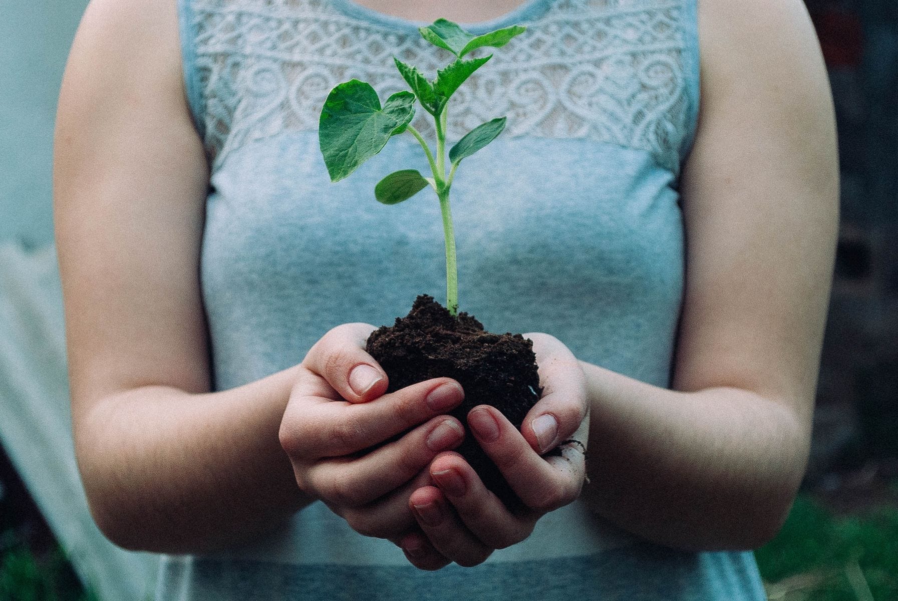 Contes, plantes et connexion intérieure