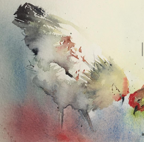 Aquarelle : perfectionnement (les animaux)