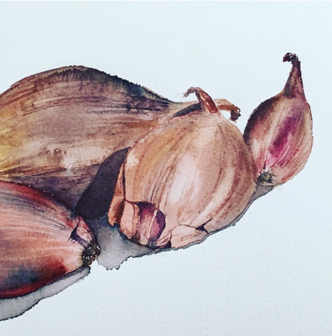 Aquarelle : perfectionnement (nature morte)