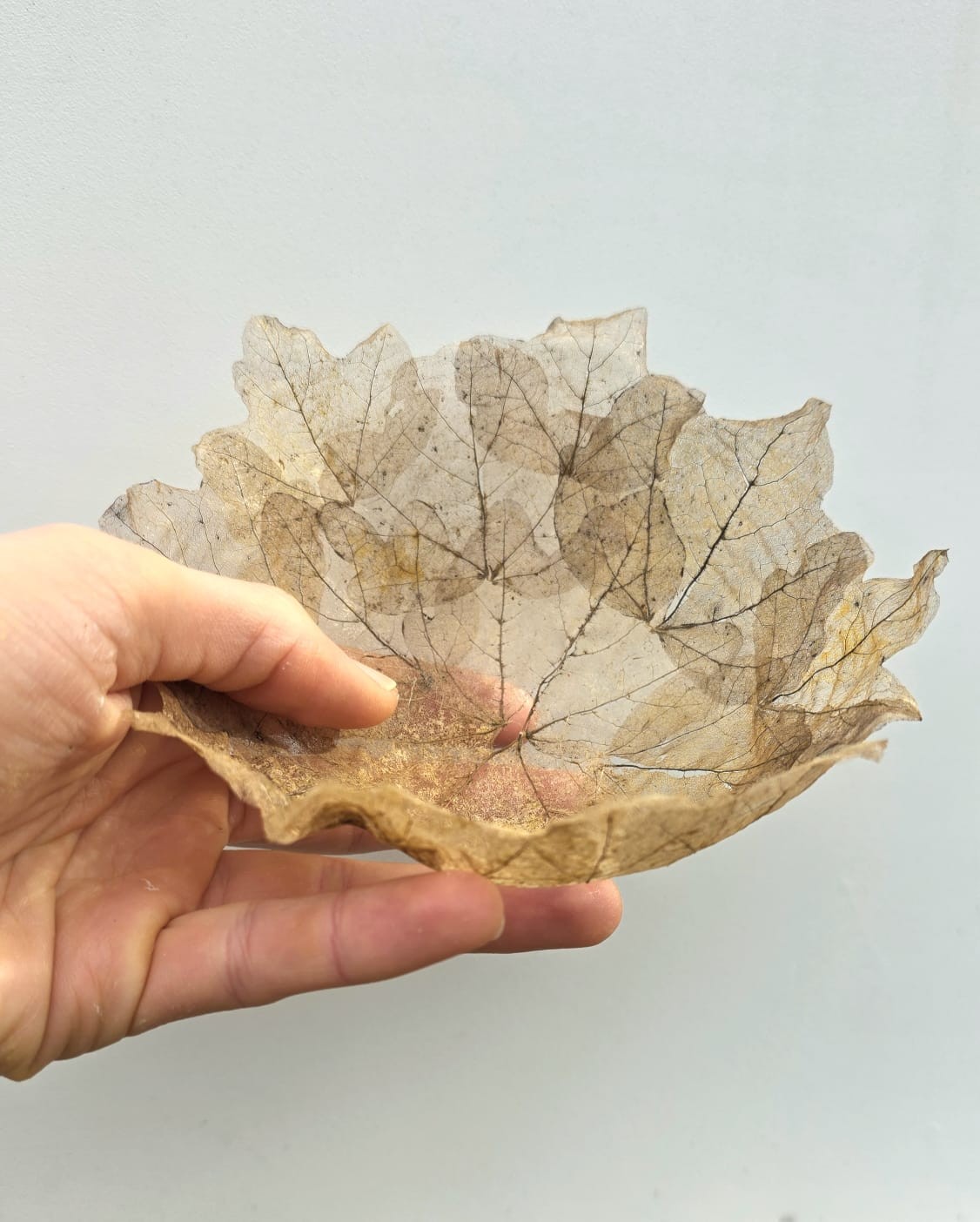 Bols et volumes en dentelles végétales