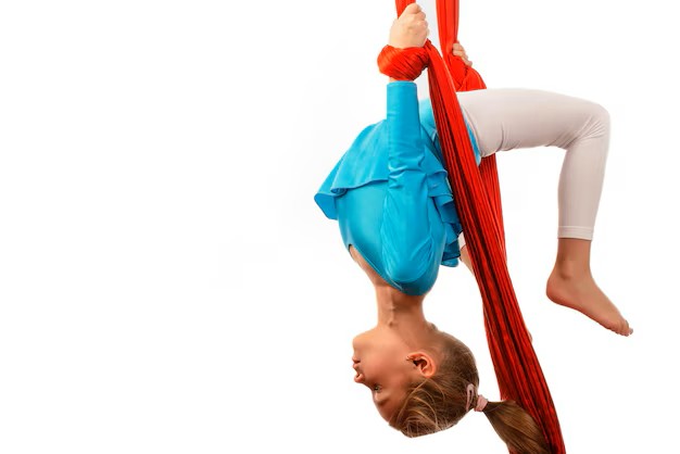 Gym et disciplines aériennes