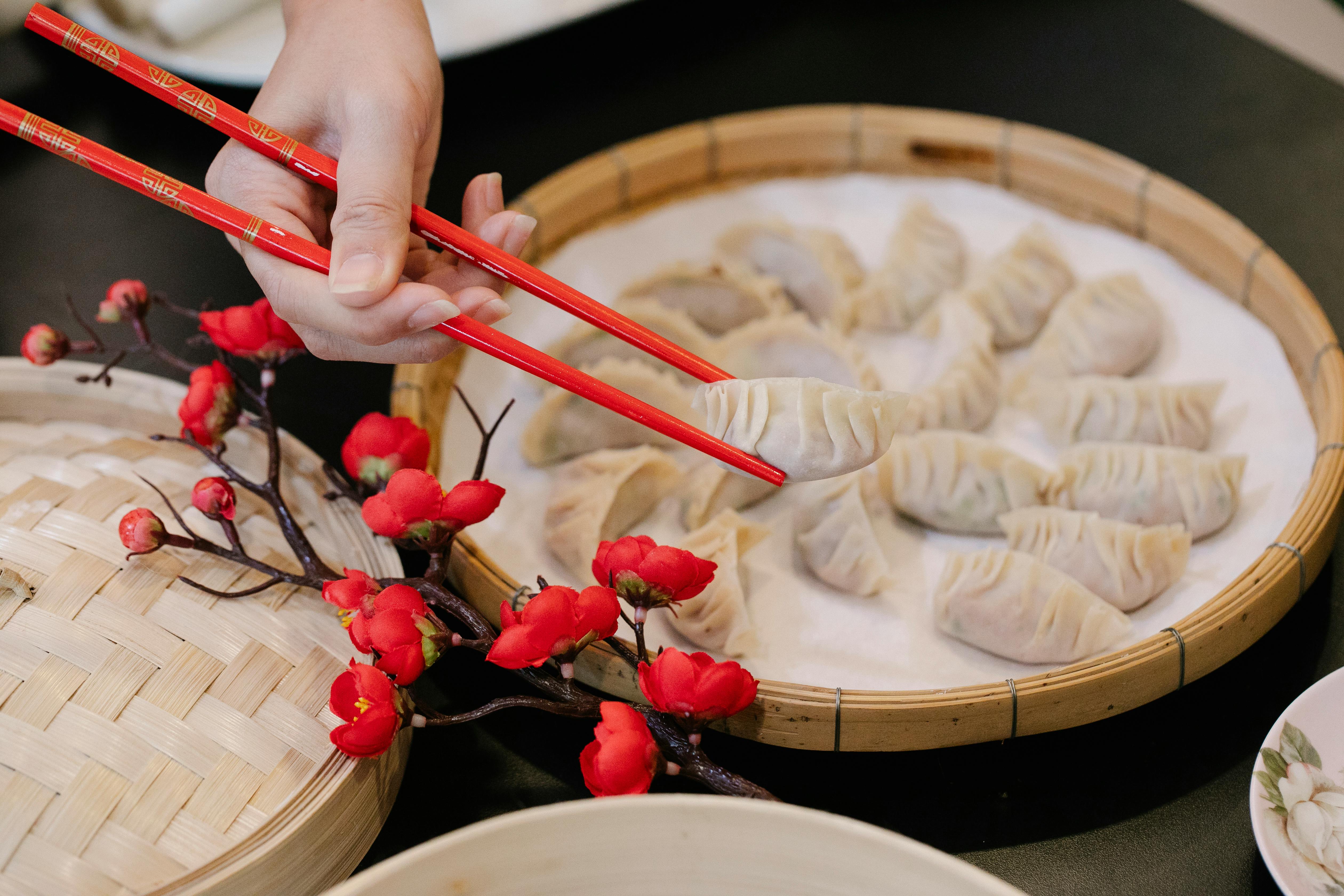 Cuisine japonaise : les gyozas (raviolis)
