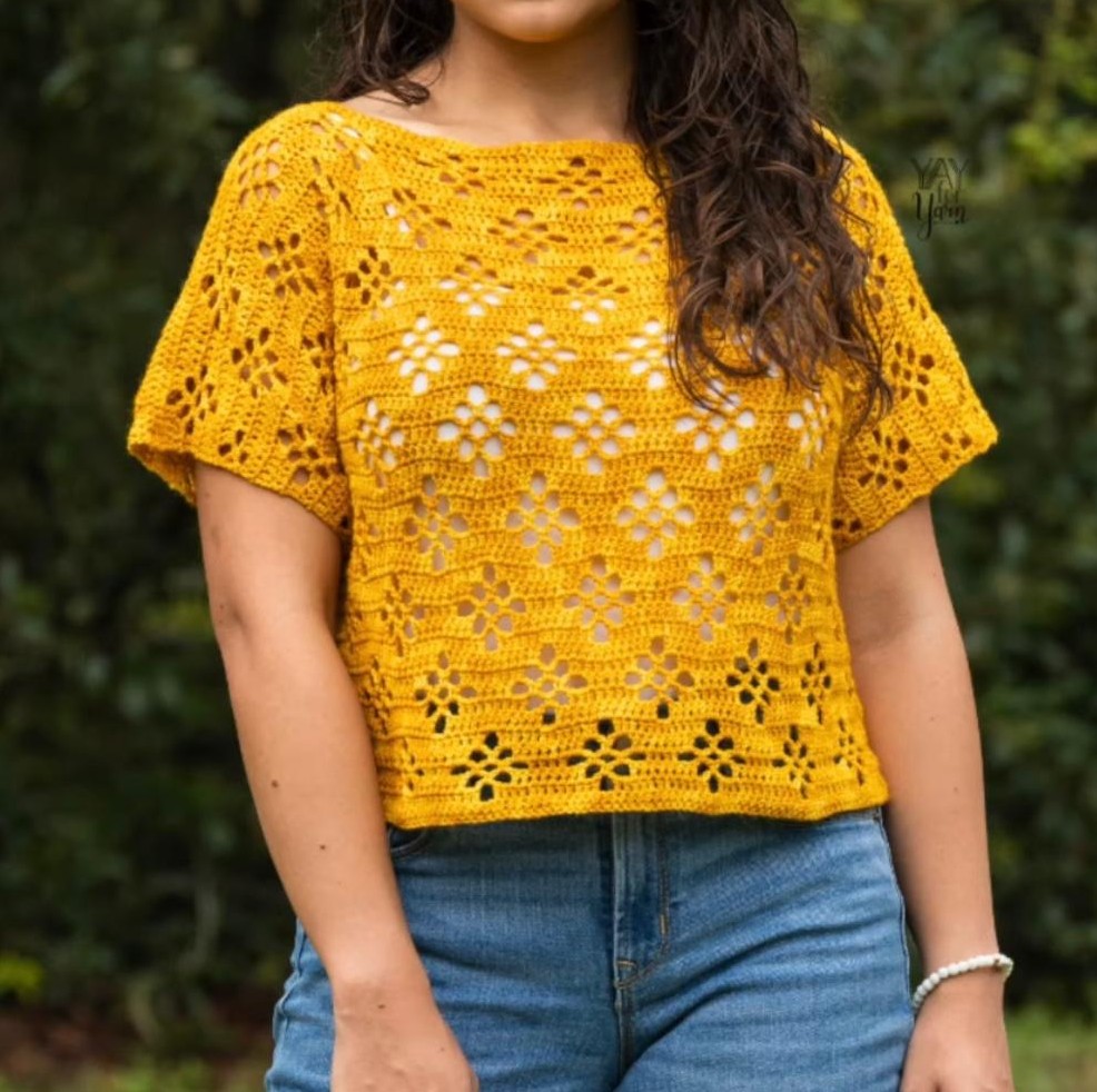 Crochet (intermédiaire-avancé) :