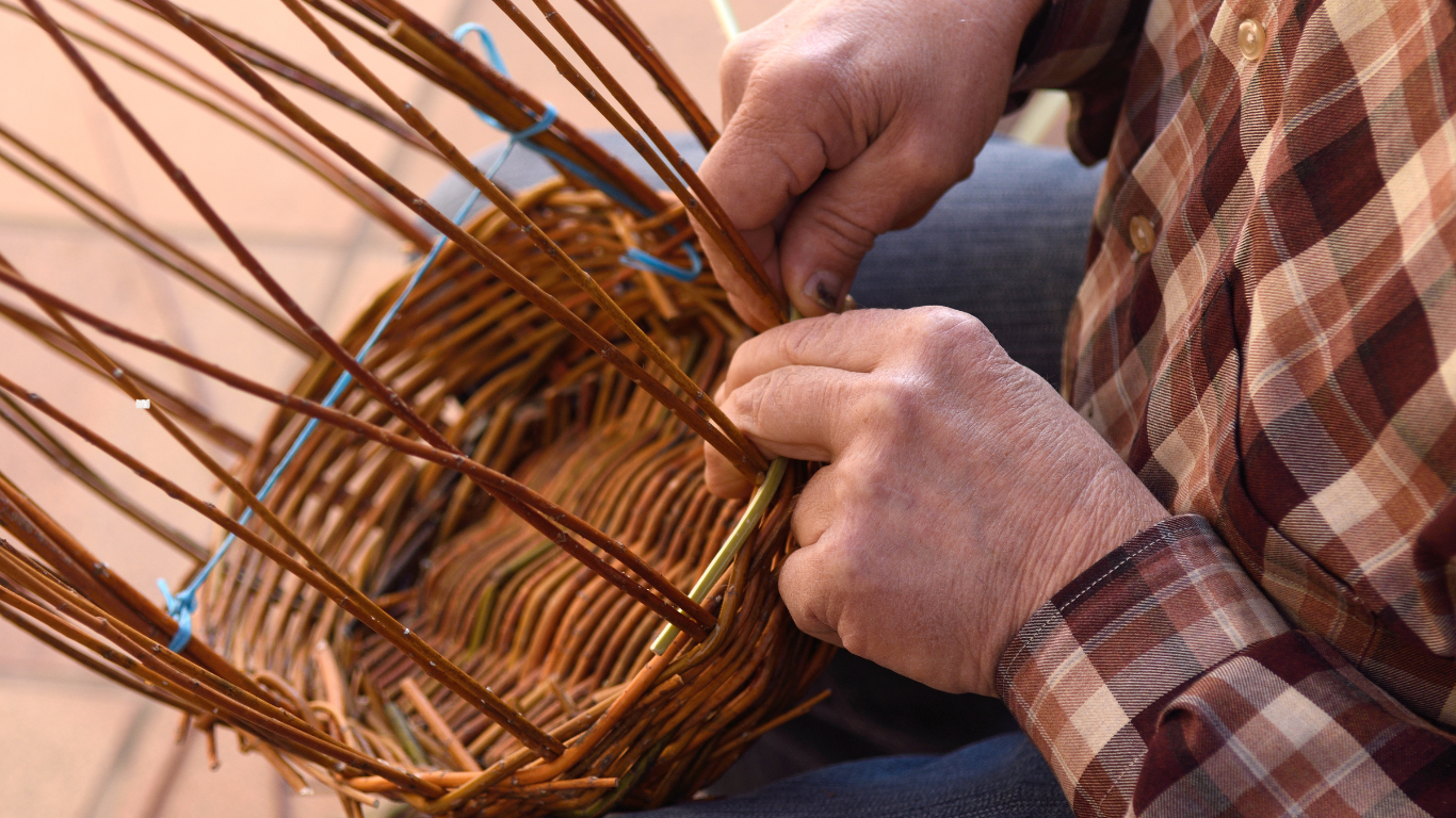 Vannerie : fabrication d’une corbeille en osier