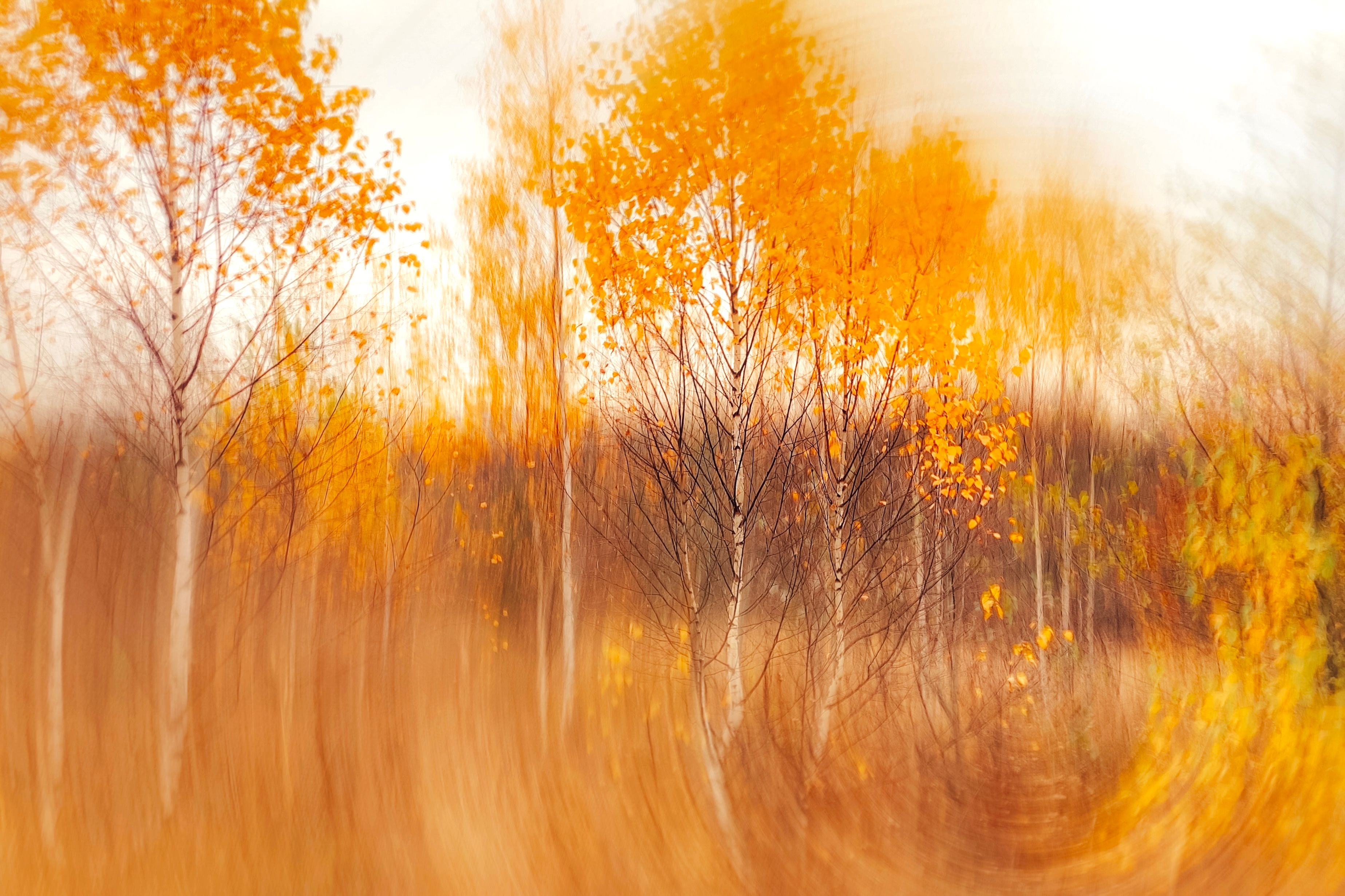 Rêve éveillé au fil des saisons : automne - libération douce, accueillir la transformation