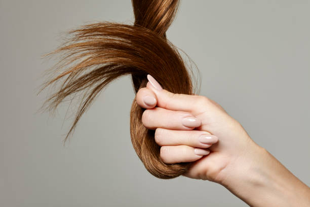 Cheveux : L'art de la coloration végétale