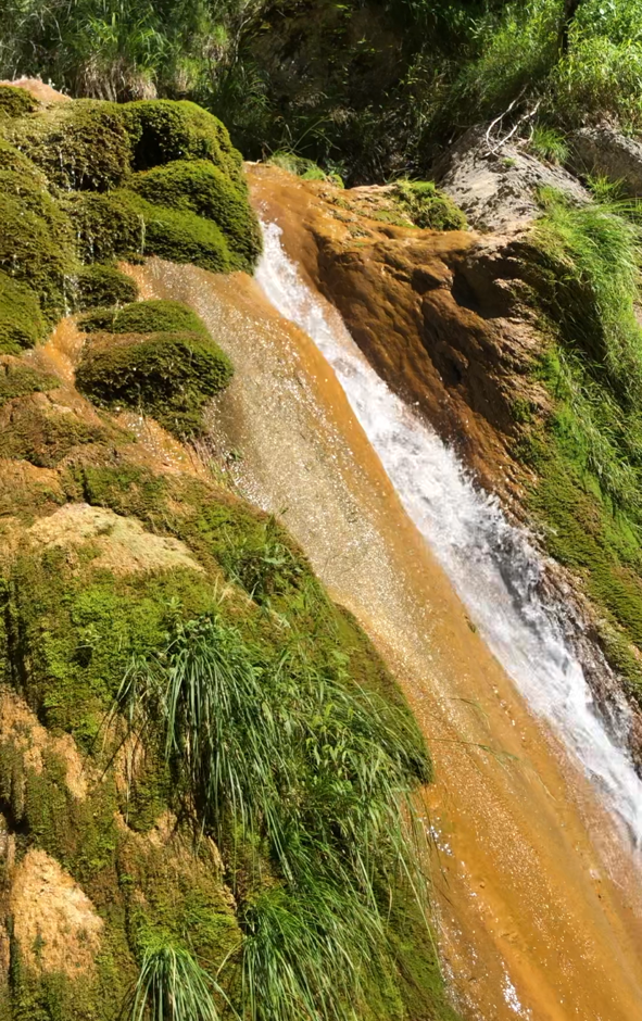 Balade initiatique dans la nature