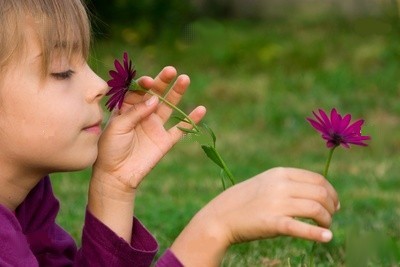 Naturopathie et bien-être de la petite enfance