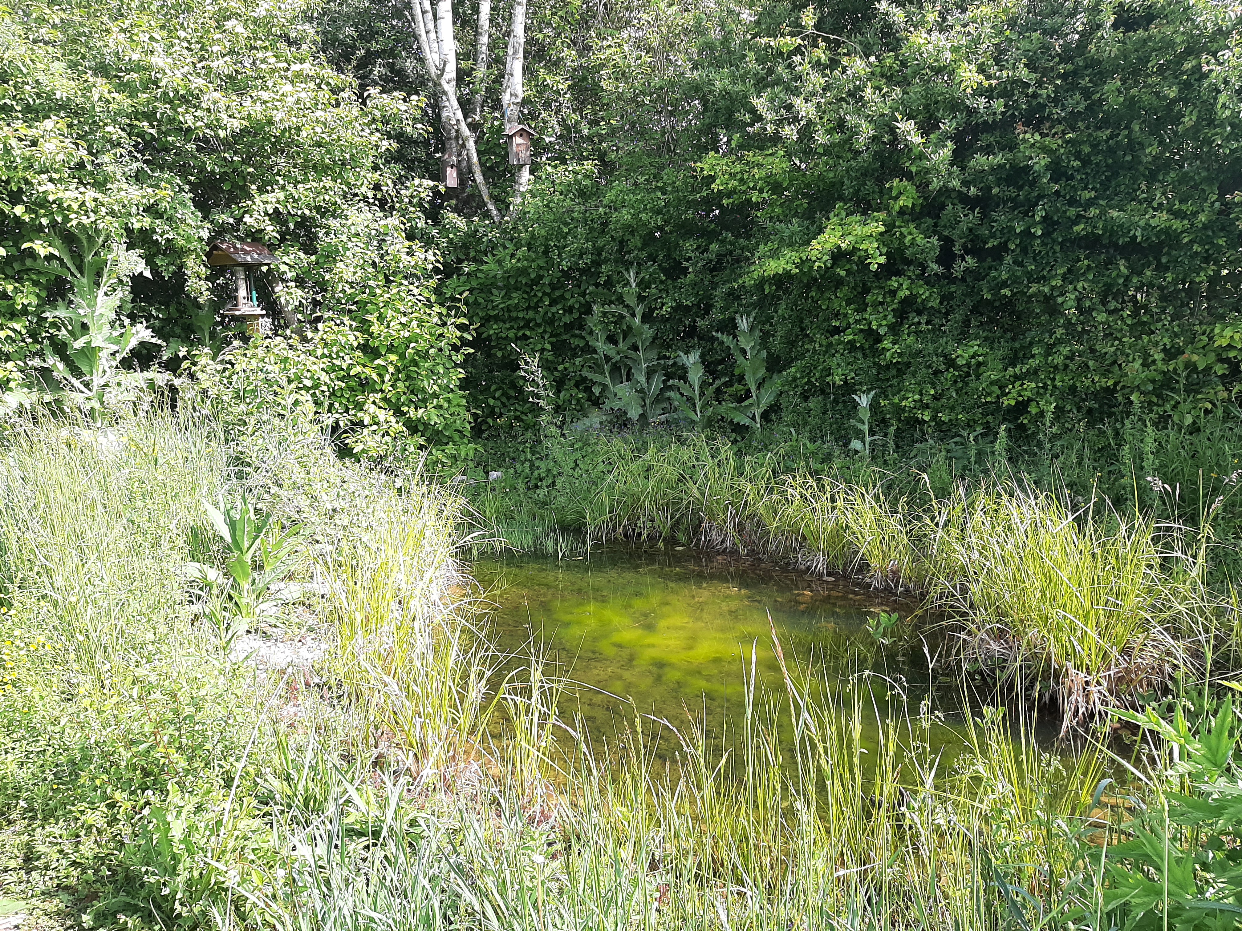 Le jardin naturel ou comment inviter la nature chez vous