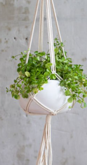 Suspension à plante en macramé