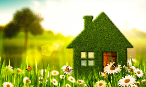 Géobiologie - Vivre dans un habitat sain