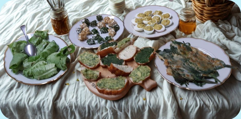 Petite balade et cuisine aux plantes sauvages