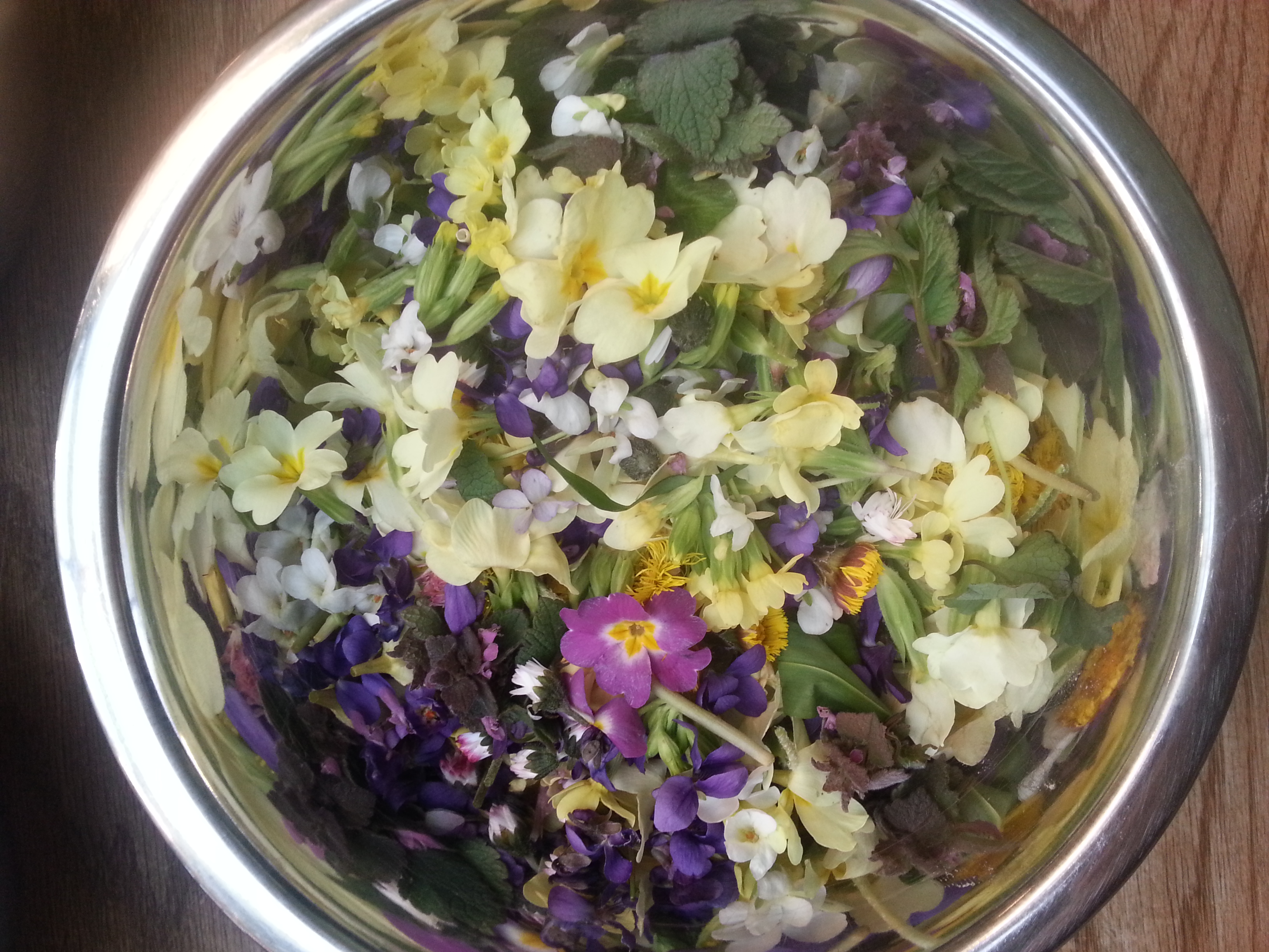 Cueillette et cuisine de plantes sauvages comestibles