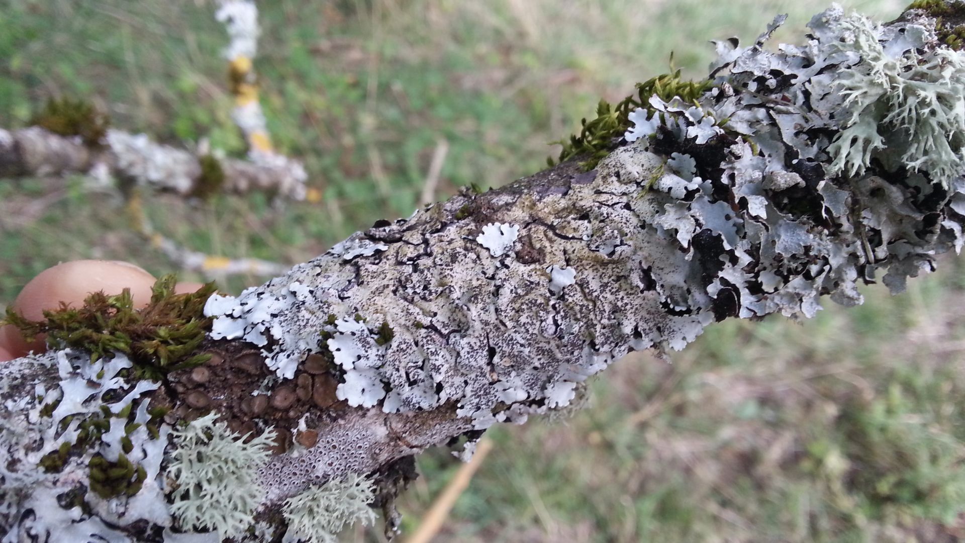 Petite randonnée naturaliste hivernale