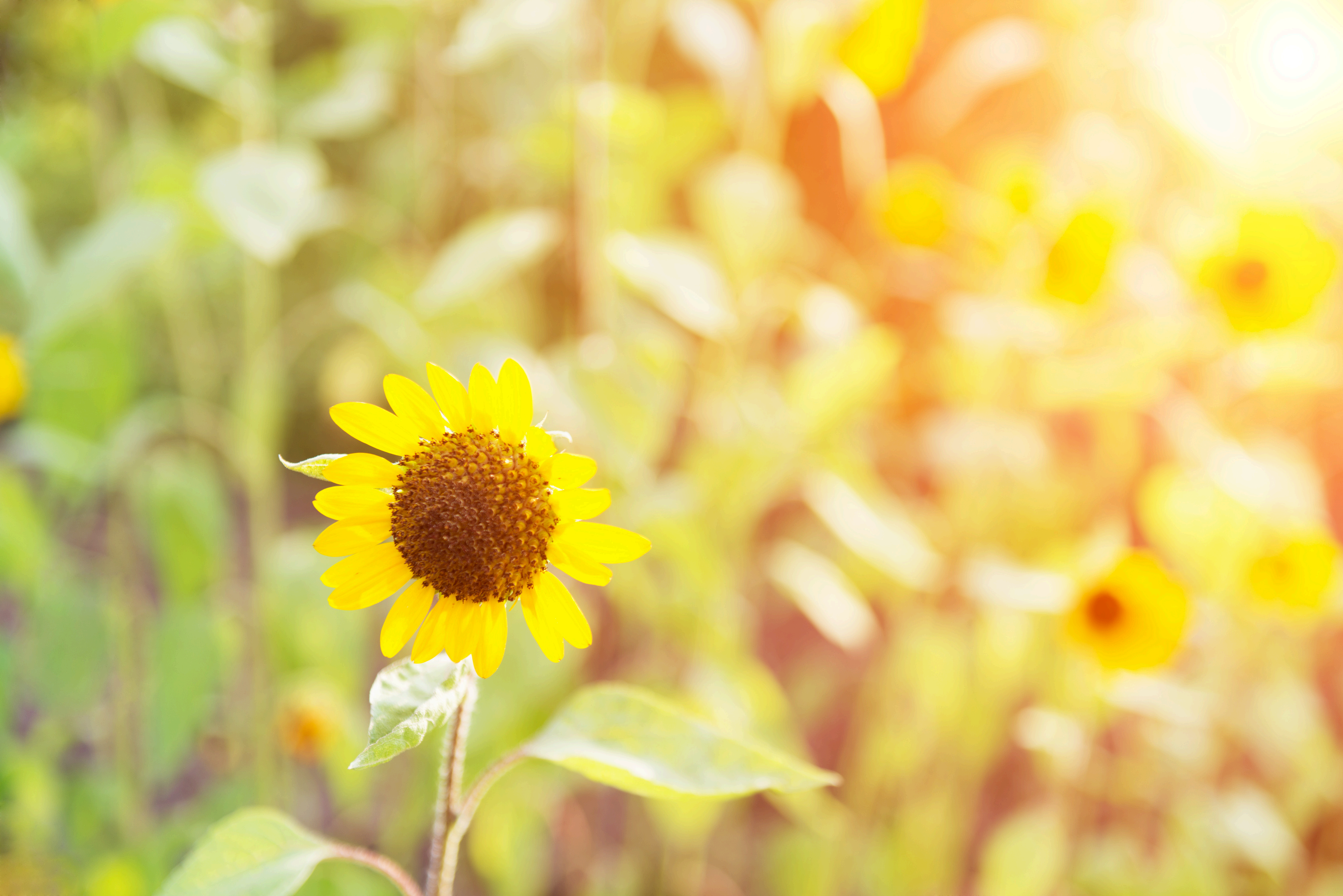 Sophrologie : mieux vivre le changement