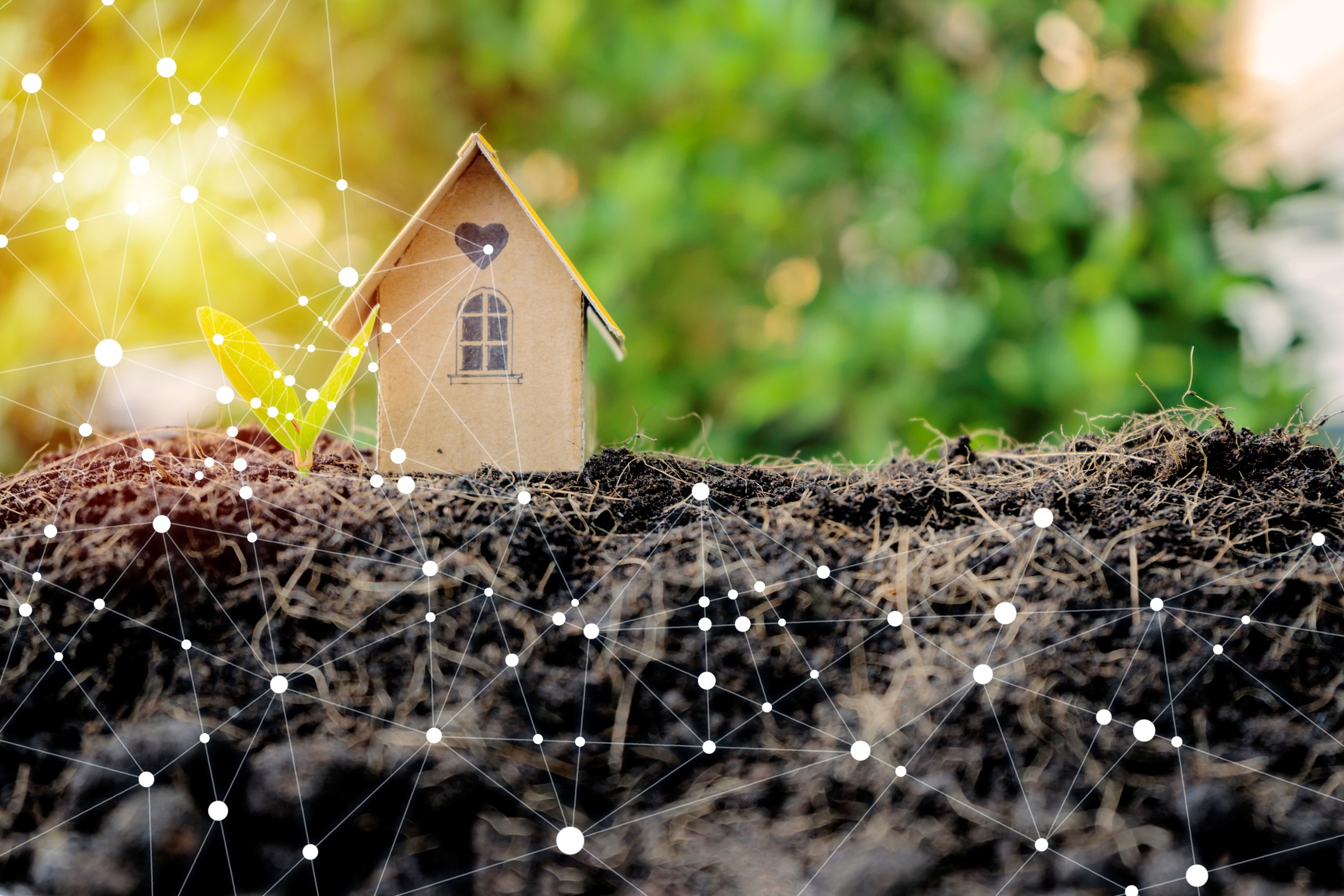 Géobiologie - Vivre dans un habitat sain