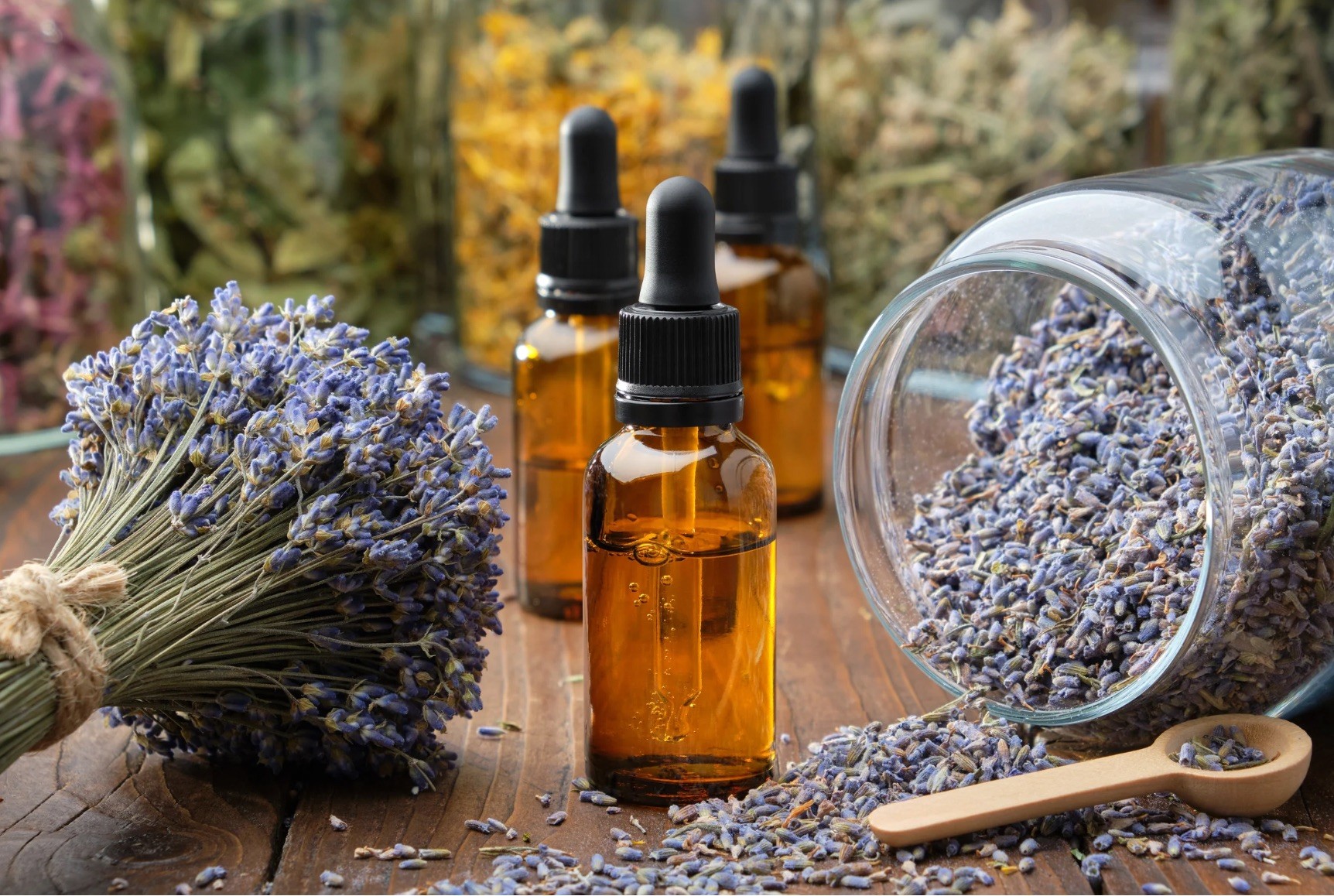 Ateliers d’herboristerie pour sorcières et sorciers de tout âge: l'hydrolat (distillation)
