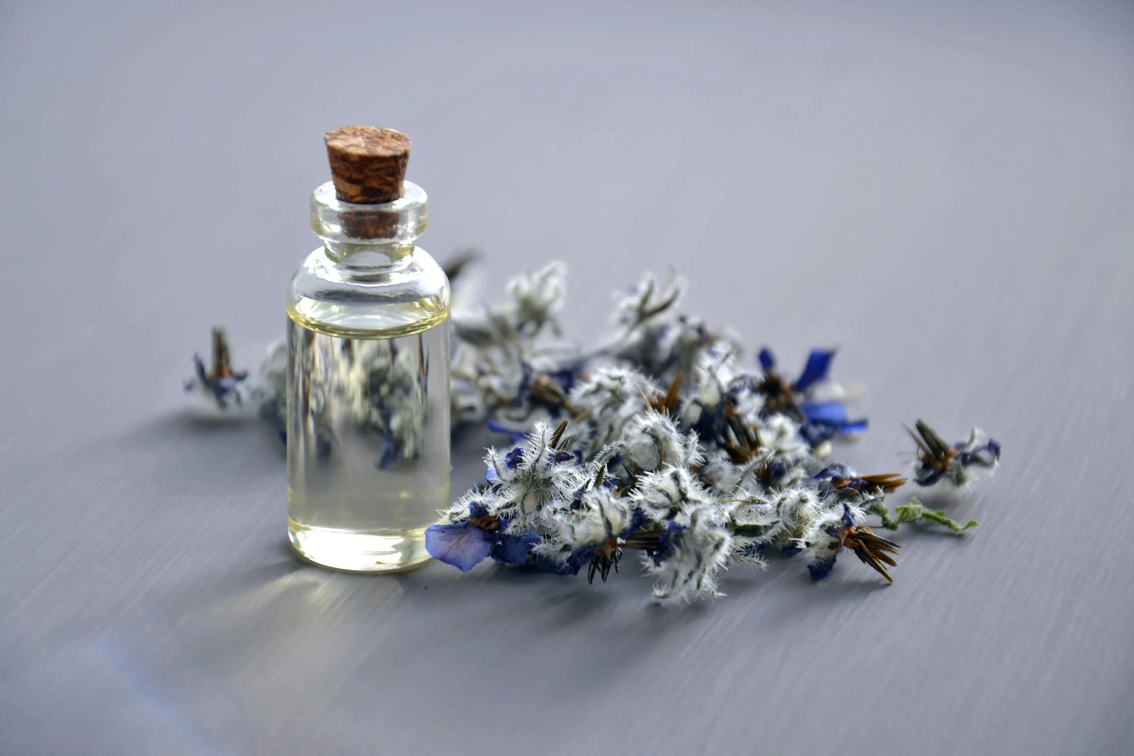 Balade découverte : les plantes aromatiques