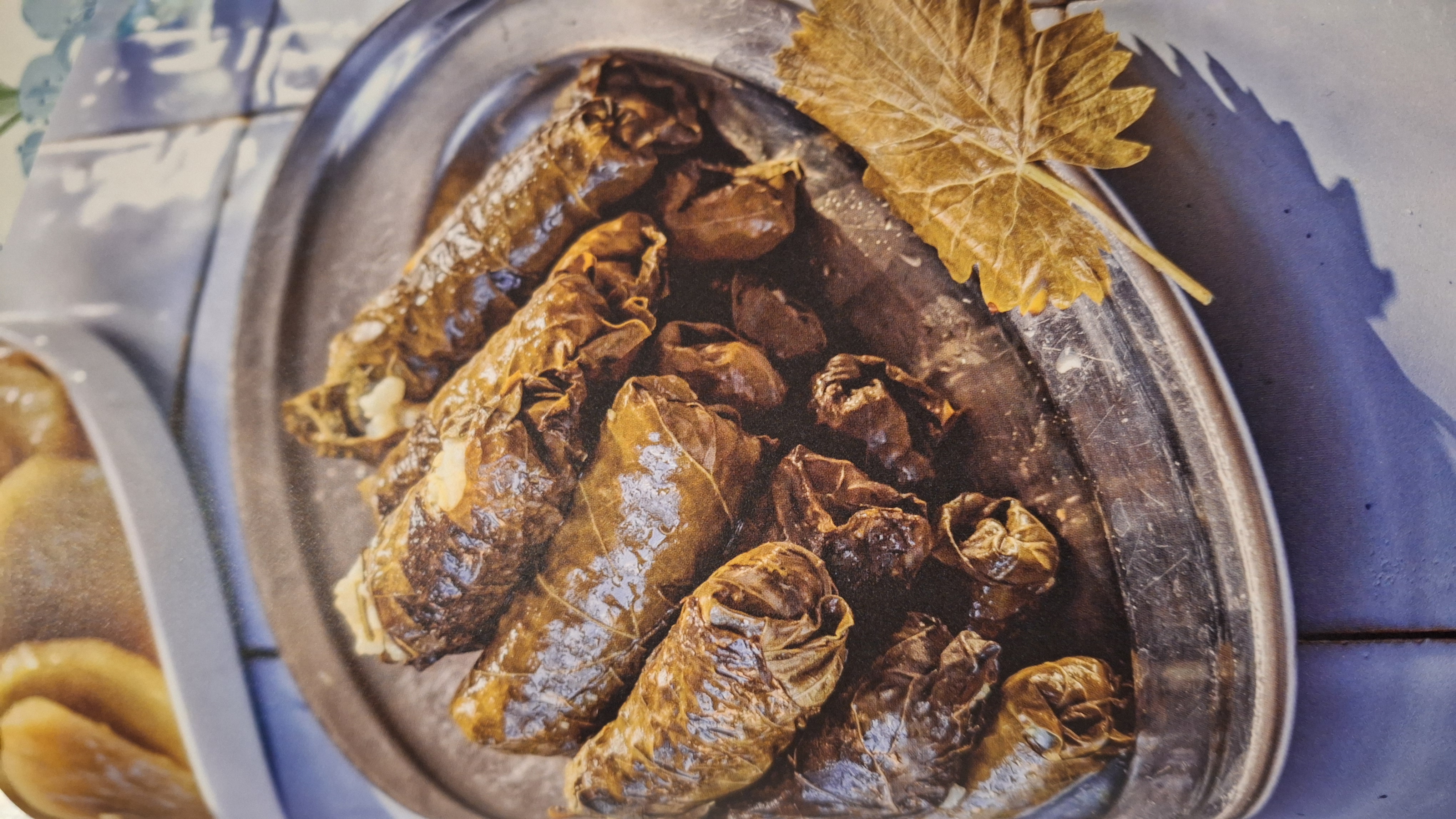 Feuilles de vigne
