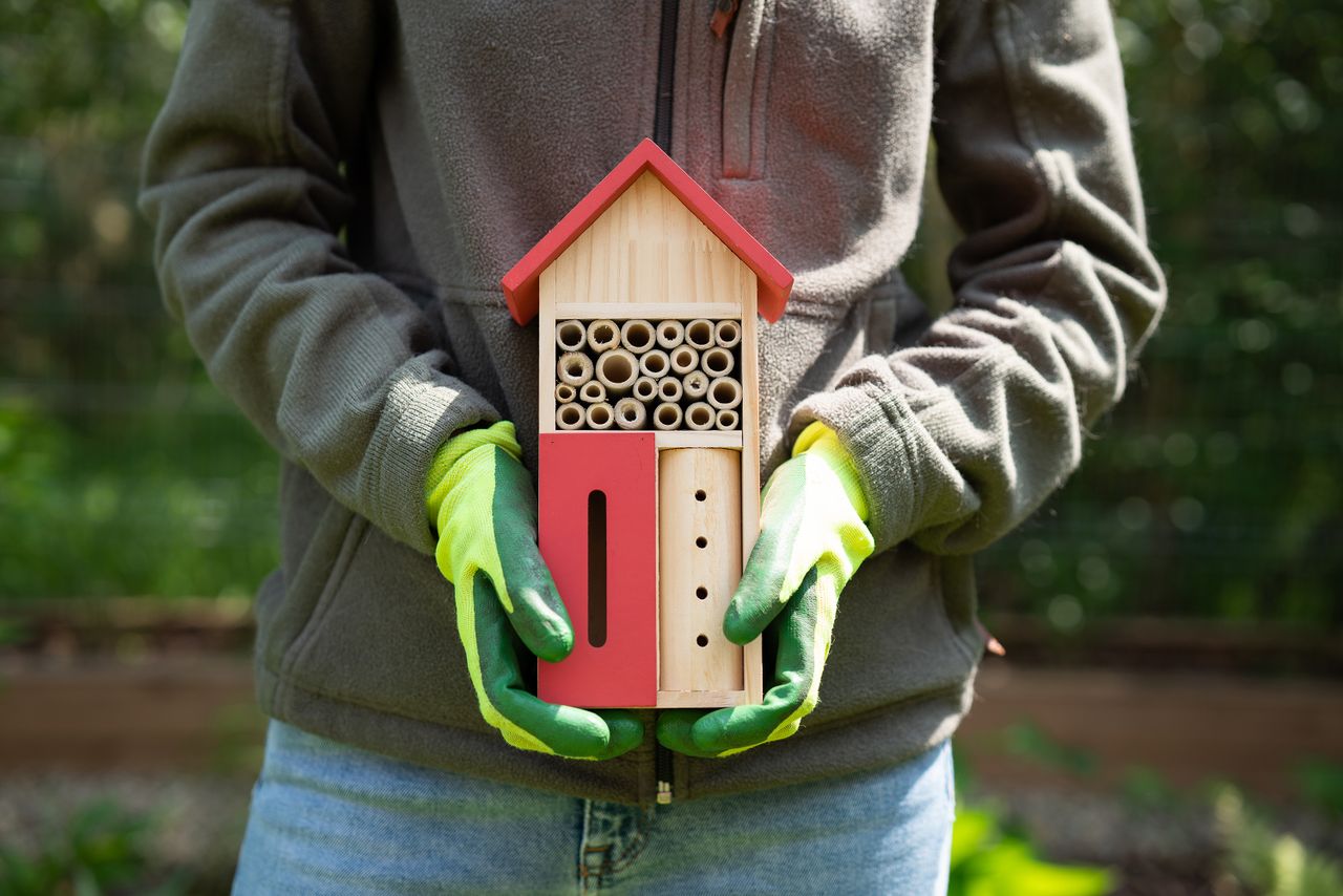 Fabrication d'un hôtel à insectes