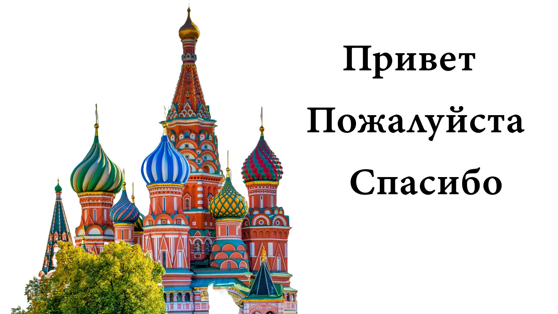 Russe niveau A1 1er semestre (sur 4)