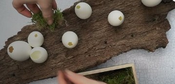 Décoration de table pour Pâques