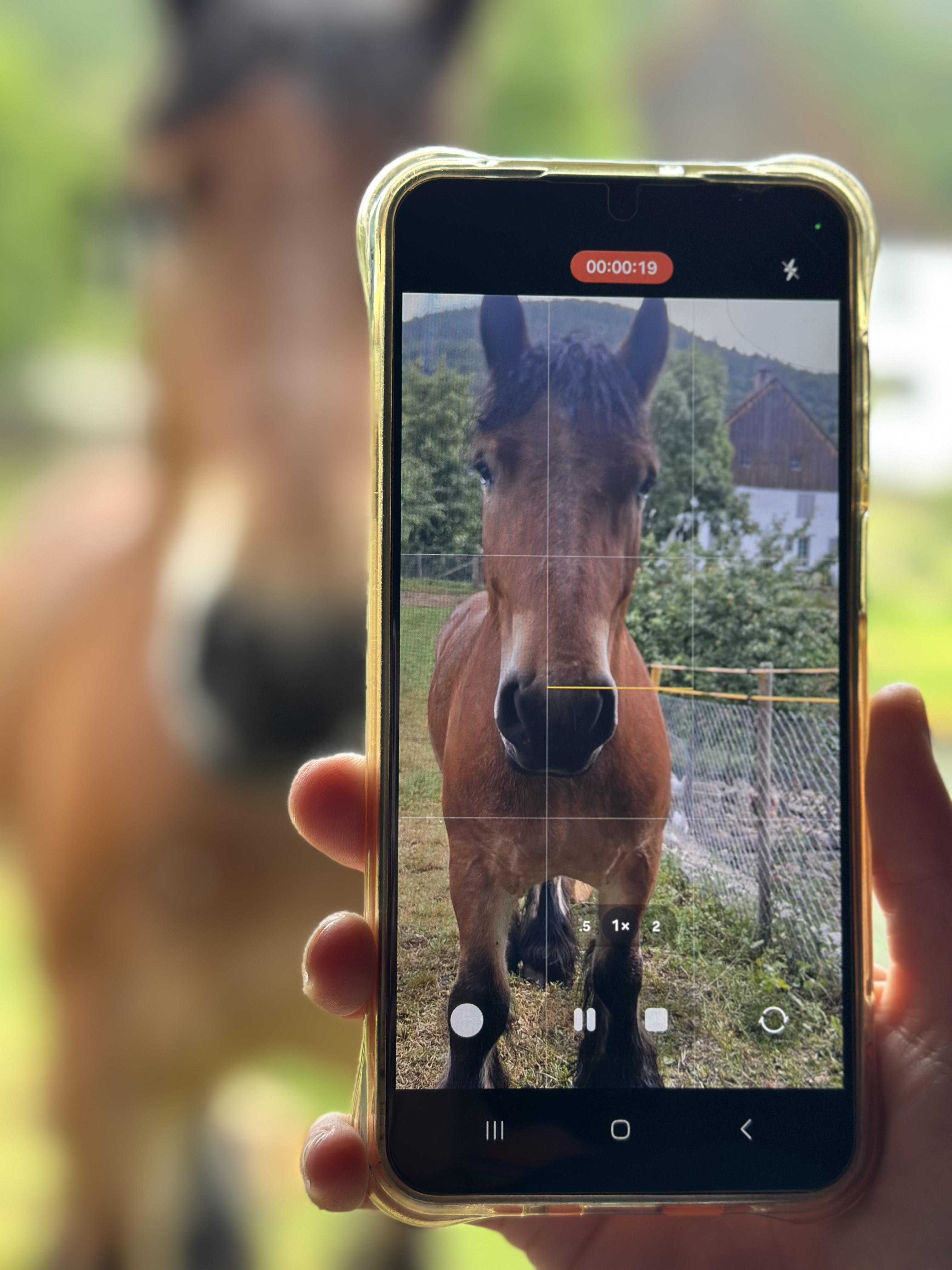 Smartphone : créer une vidéo de A à Z