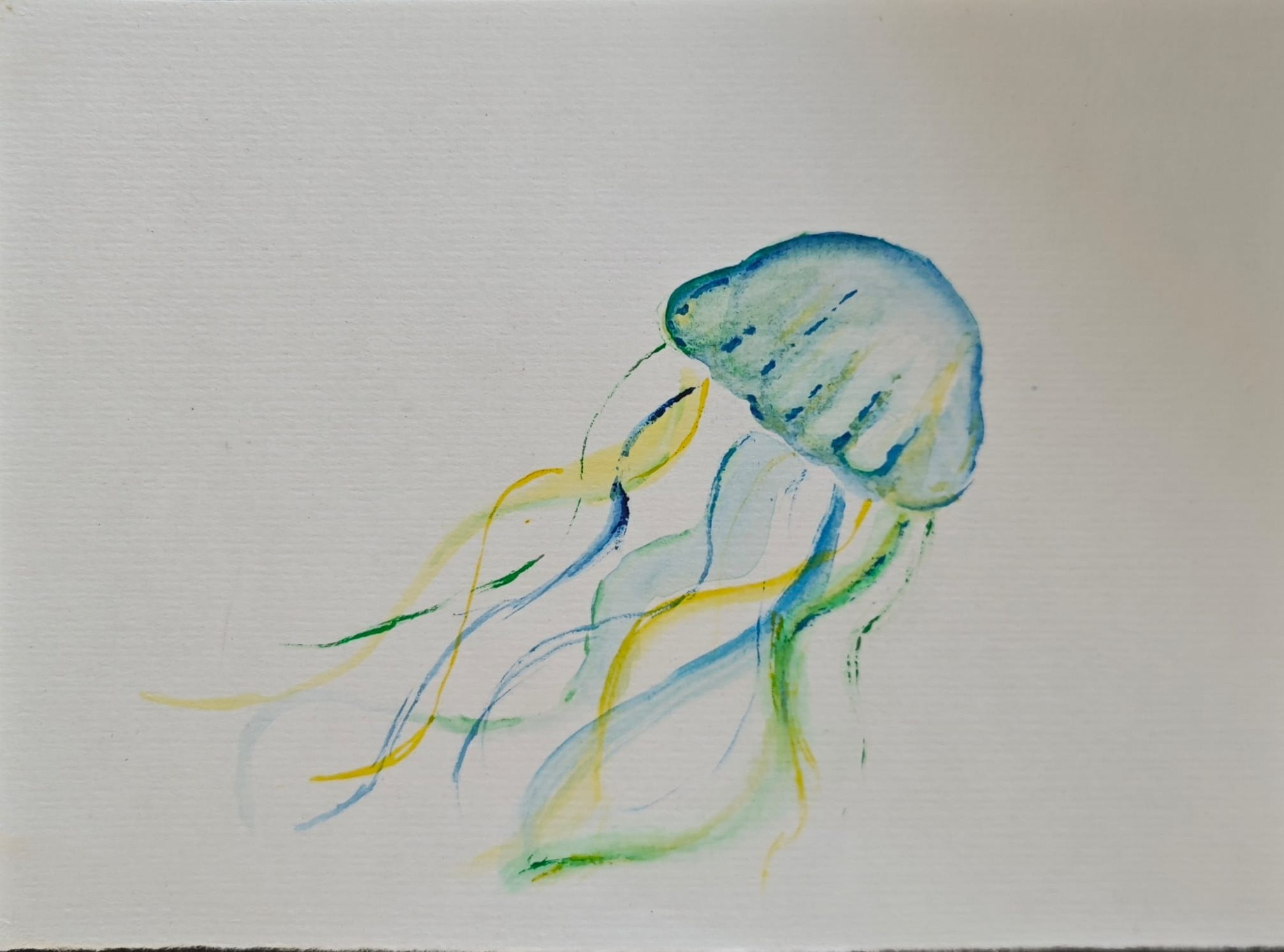 Aquarelle : cartes de voeux